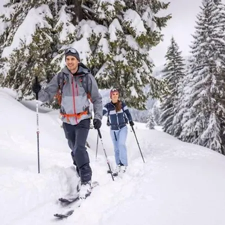 Lägenhetshotell Wald