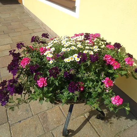 Aparthotel Wald