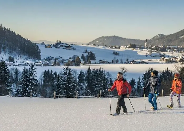 Lägenhetshotell Wald