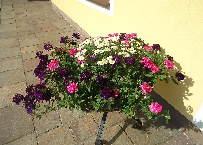 Lägenhetshotell Wald